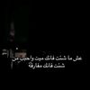 user4572461555874