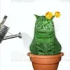 eu_a.lice