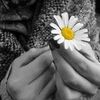 em.muhannad6