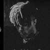 v_1mv4