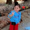 mohsen.abo.asia