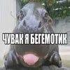 fostiliving