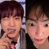 bunny_kook3d