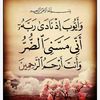 user8297178577245