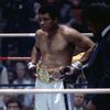 miketyson727383