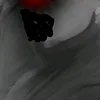 notur_jn