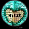 allha.is.one.12
