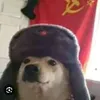 essegalosoeu