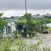 ng_anh225