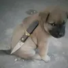 jtzin.editsxz