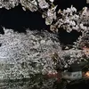 kai_hana5