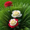 saleem.3338
