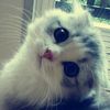 ourslyss