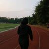 elysiantya_