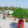 baumbumuni