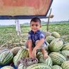mdmeraj8449