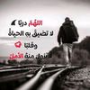 amine.masmodi