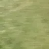 ggxghhfdhubxhkjxj