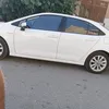 40_ali40