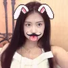 miss_dl.hht