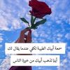 user29821978050652