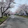 maia_12913