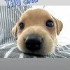 anhyeuemkakaa