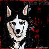 anokarwolf1