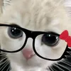 arya.sandkc