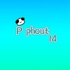 phout017