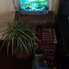 user17606399211615