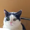 aleski.aleski