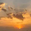 chaocaunhiu