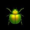 navybuggy