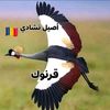 djibrin.m.h.t