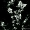 amira.reda635
