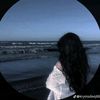 noha244758