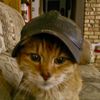 guitarcat03