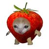fresita_roblox1245