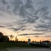 vili_wildaa