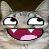 ofthekittycore1