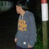 cicak_dinding158