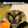 0.mandarina