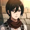 srt_mikasa