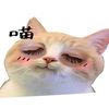 user1007493259234