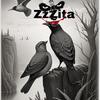 zzzita2