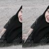 dya.33