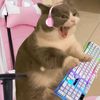 emeli_116