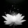 huyn.anh6163