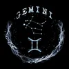 geminigemini44